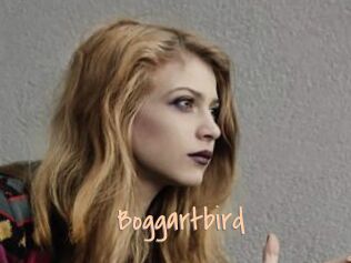 Boggartbird