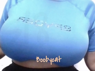 Boobycat