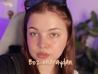 Bozenaraydan