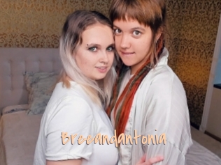 Breeandantonia