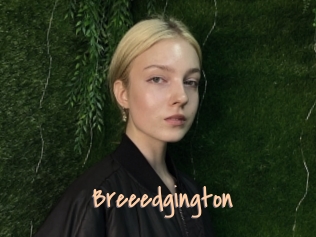 Breeedgington