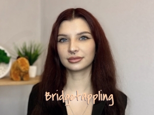 Bridgetappling