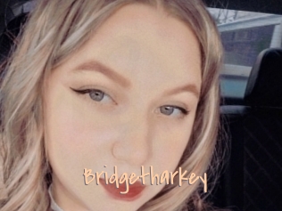 Bridgetharkey