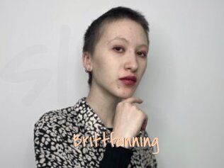 Brittfenning