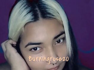 Burningrose20