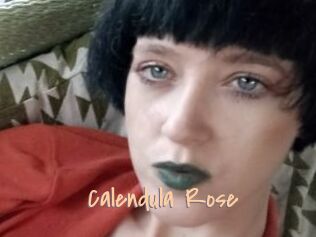 Calendula_Rose