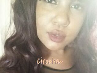 Circebae