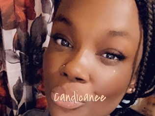 Candicanee