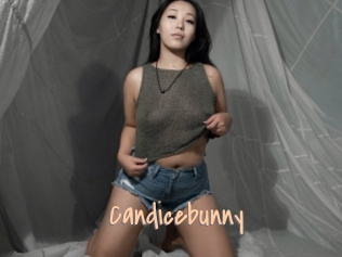 Candicebunny