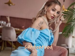 Candicereed