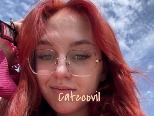 Catecovil