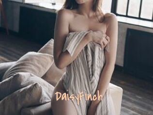DaisyFinch