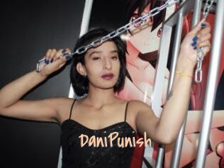 DaniPunish
