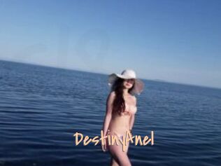 DestinyAnel