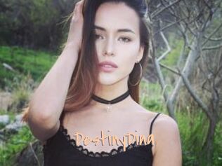 DestinyDina