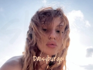 Daisyburge