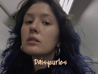 Daisycurles