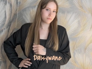Daisywane