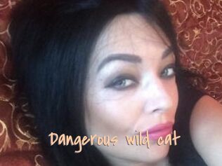 Dangerous_wild_cat