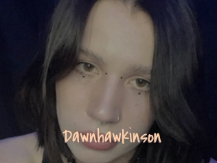 Dawnhawkinson