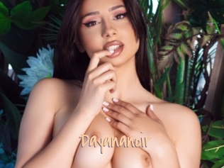 Dayananoir