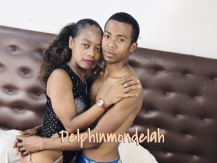 Delphinmondelah
