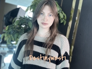Destinywesti