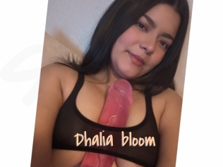 Dhalia_bloom