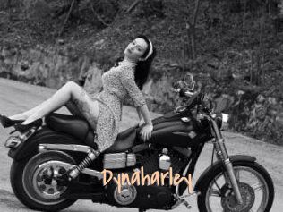 Dynaharley