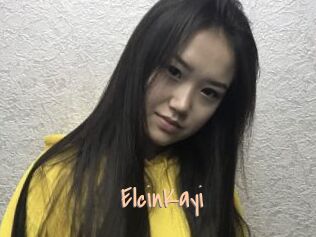 ElcinKayi