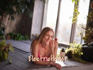 Electricflower