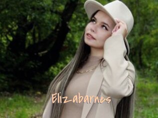 Elizabarnes