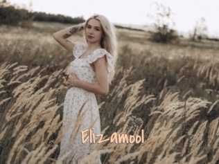 Elizamool