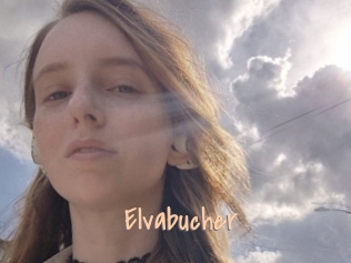 Elvabucher