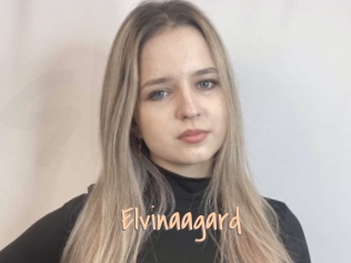 Elvinaagard