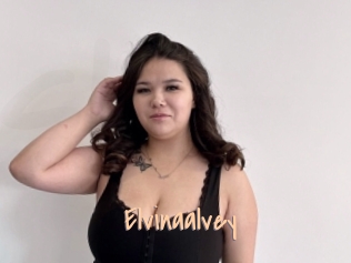 Elvinaalvey