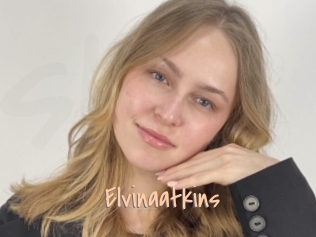 Elvinaatkins