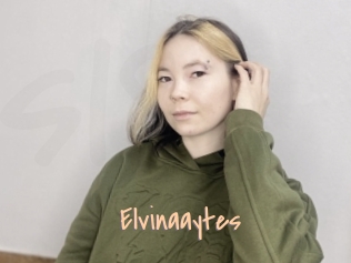 Elvinaaytes