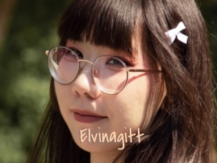 Elvinagitt