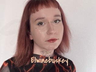 Elwinebuskey