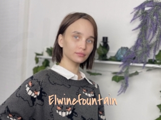 Elwinefountain