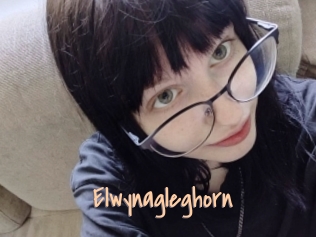 Elwynagleghorn