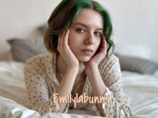 Emilylabunny