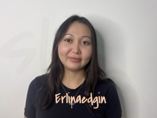 Erlinaedgin
