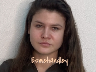 Esmehandley