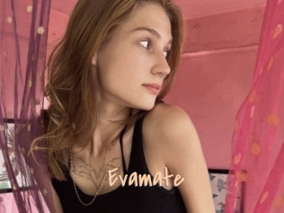 Evamate