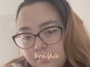 Eviedash