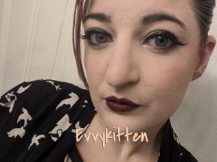Evvykitten