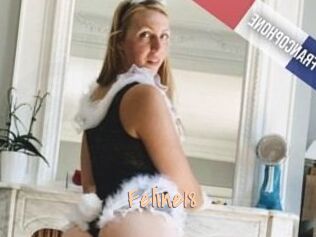 Feline18