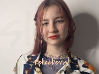 Felicebevis